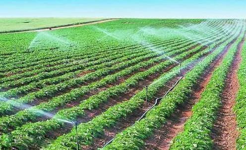 日本多毛开口屄一视频!农田高 效节水灌溉